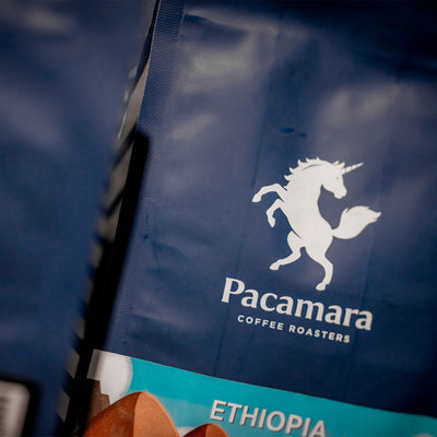 247 X PACAMARA